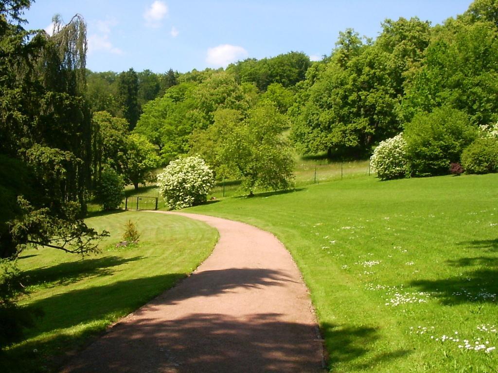 Lovely Holiday Home In The Thuringian Forest With Roof Terrace And Great View Бад Либенщайн Екстериор снимка
